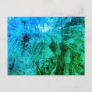 Recherche de arbre de sapin cartes postales Hiver