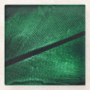 Recherche de plumes dessous de verres Mode