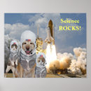 Recherche de petit chien posters Labrador