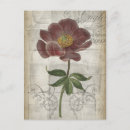 Recherche de cartouche posters Floral