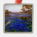 Recherche de san antonio ornements Texas