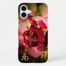 Zoek naar anjer iphone hoesjes Dianthus