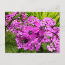 Zoek naar purple briefkaarten Floreel