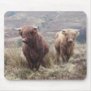 Recherche de écossais tapis souris highland