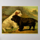 Recherche de noir blanc chien posters Imprimer