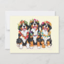 Zoek naar bernese berghond briefkaarten Kleurrijk