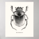 Recherche de scarabées posters Insecte