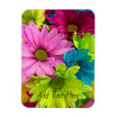 Recherche de conception fleurie magnets Marguerite