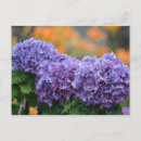 Recherche de impressionnistes cartes postales Nature