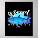 Zoek naar haaien posters Eiland