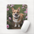 Recherche de corgi tapis souris Animal