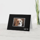 Zoek naar in het groot kaarten Hond