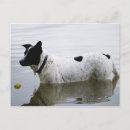 Recherche de la sur eau cartes postales Personne