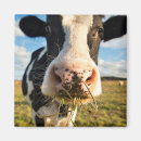Recherche de rural magnets Landscape