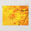 Recherche de bois naturel cartes postales Paysage