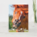 Zoek naar grappige paarden kaarten Valentijnsdag