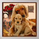 Recherche de race de chien posters Animaux domestiques