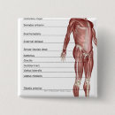 Zoek naar kwart buttons Verticaal