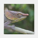 Recherche de blooded magnets Vue de côté