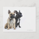 Recherche de concentration cartes postales Ensemble