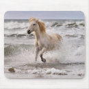 Recherche de running tapis souris Horse