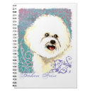 Recherche de bichons Chien blanc