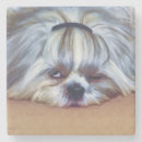 Zoek naar shih tzu onderzetters Gezelschapsdieren