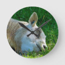 Zoek naar schapen klokken Schattig