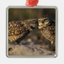 Recherche de hibou fait sur commande ornements Faune