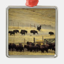 Recherche de montana ornements Cowboy