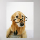 Zoek naar klein huisdier posters Honden