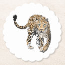 Recherche de leopard dessous de verres Couleur