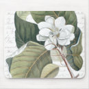 Recherche de magnolia tapis souris Botanique