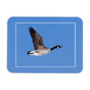 Recherche de oiseau de vol magnets Bleu