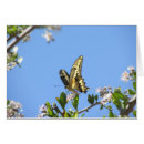 Recherche de machaon cartes postales Faune