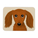 Recherche de cheveux magnets Teckel