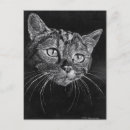 Recherche de visage de chat cartes postales Chatons