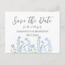 Recherche de jacinthe invitations Fleur