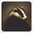 Recherche de blaireau autocollants Faune