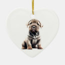 Recherche de chiot shar de pei Pour tous