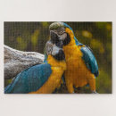 Recherche de oiseaux tropicaux puzzles Perroquets