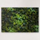 Recherche de trèfle puzzles Irish