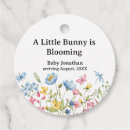 Recherche de beatrix potter rabbit travaux manuels fêtes Peter lapin