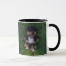 Recherche de puppy tasses Animaux domestiques