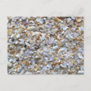 Zoek naar shell beach briefkaarten Schalen