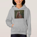 Recherche de cheval pulls capuche Gris