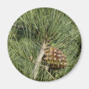 Zoek naar naalden magneten Groen