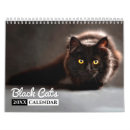 Recherche de chat noir calendriers Photos de chat