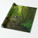 Recherche de asiatique papier cadeau Nature