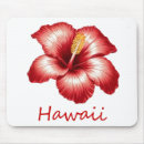Recherche de jungles électronique Hawaii